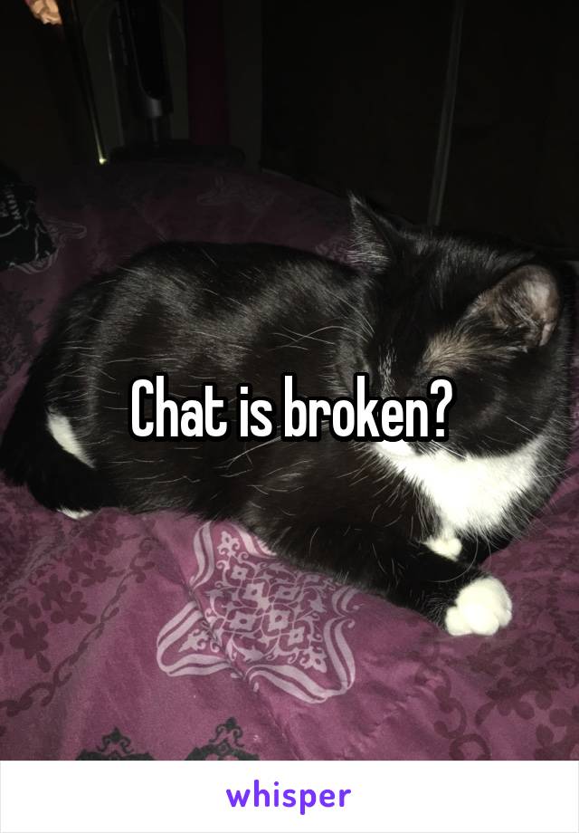 Chat is broken?