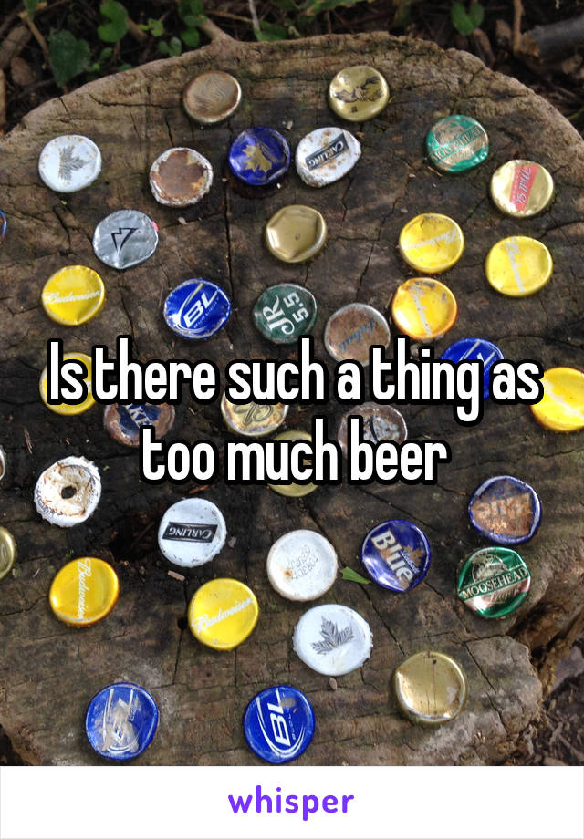 Is there such a thing as too much beer