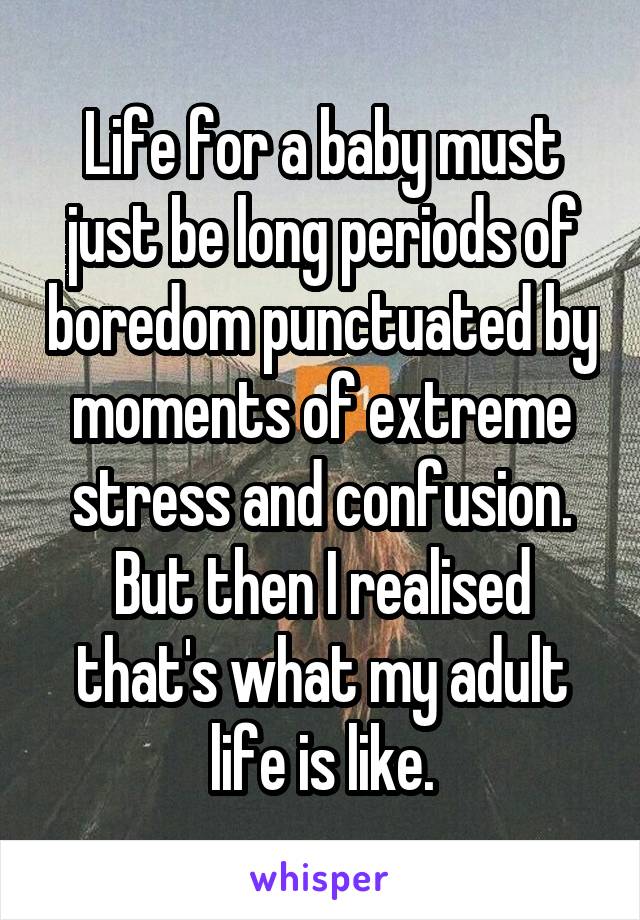 Life for a baby must just be long periods of boredom punctuated by moments of extreme stress and confusion. But then I realised that's what my adult life is like.