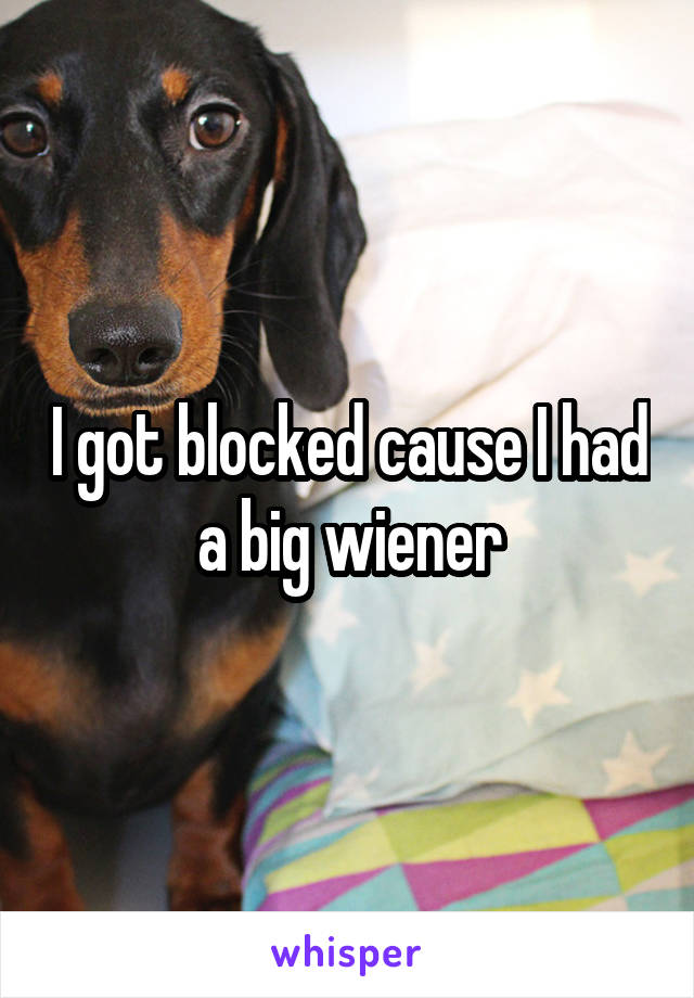 I got blocked cause I had a big wiener