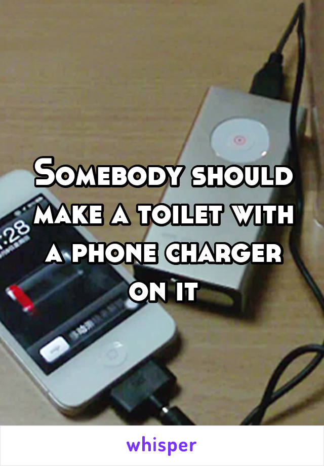 Somebody should make a toilet with a phone charger on it