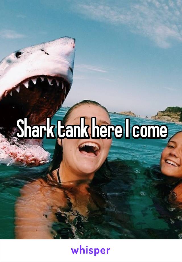 Shark tank here I come