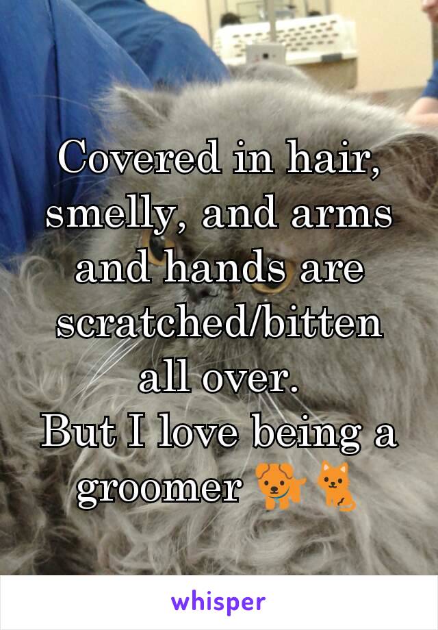 Covered in hair, smelly, and arms and hands are scratched/bitten all over.
But I love being a groomer 🐕🐈