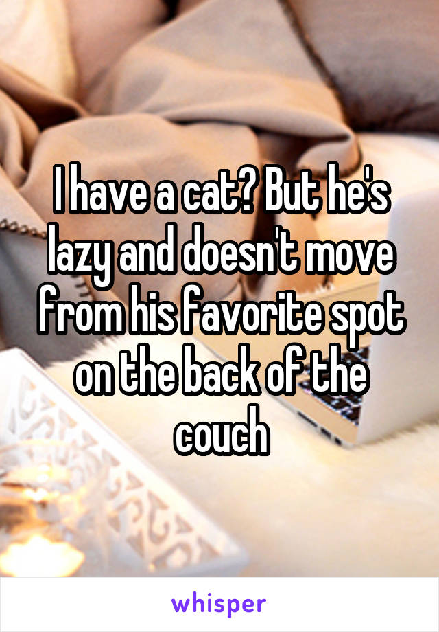 I have a cat? But he's lazy and doesn't move from his favorite spot on the back of the couch