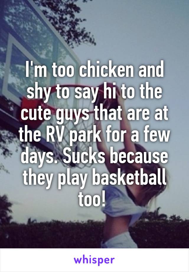 I'm too chicken and shy to say hi to the cute guys that are at the RV park for a few days. Sucks because they play basketball too! 