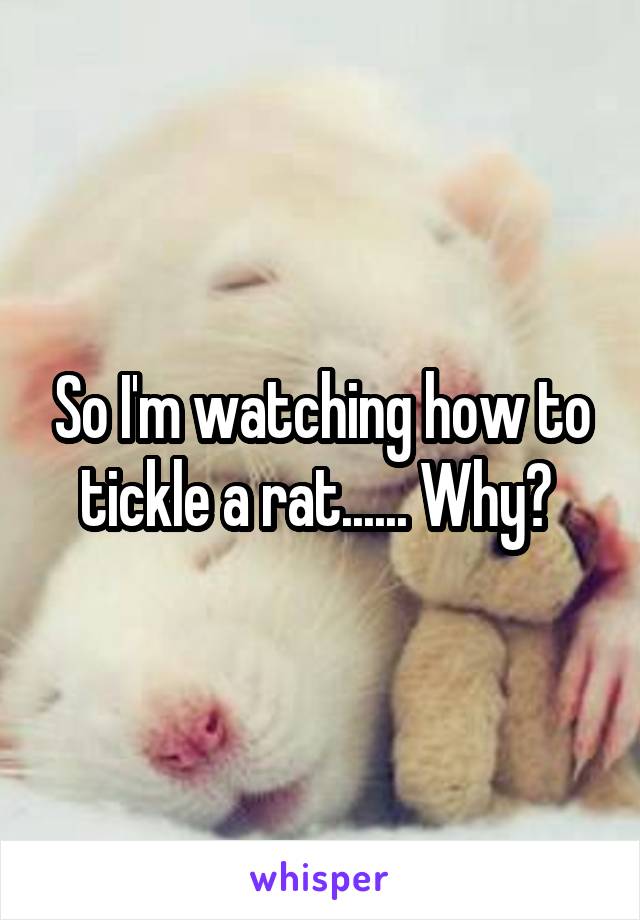 So I'm watching how to tickle a rat...... Why? 