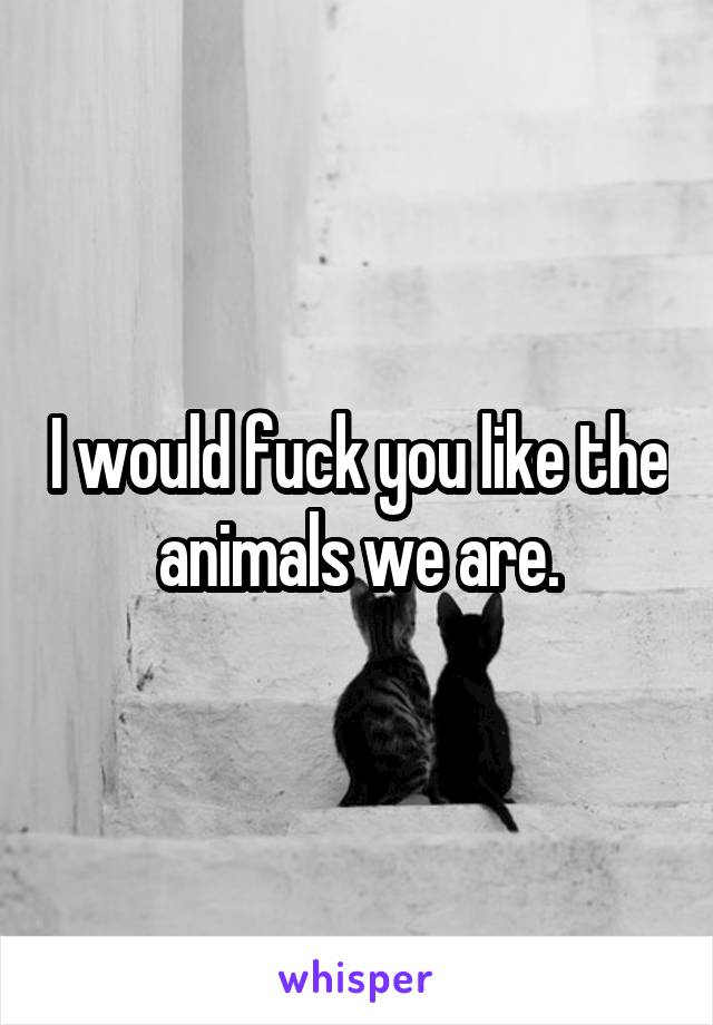 I would fuck you like the animals we are.