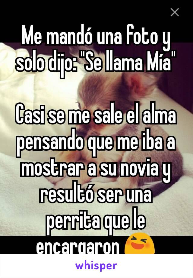 Me mandó una foto y solo dijo: "Se llama Mía"

Casi se me sale el alma pensando que me iba a mostrar a su novia y resultó ser una perrita que le encargaron 😆