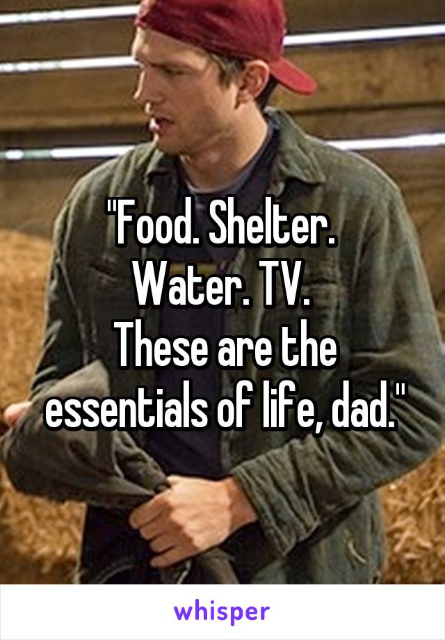 "Food. Shelter. 
Water. TV. 
These are the essentials of life, dad."