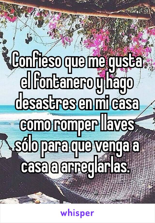 Confieso que me gusta el fontanero y hago desastres en mi casa como romper llaves sólo para que venga a casa a arreglarlas. 