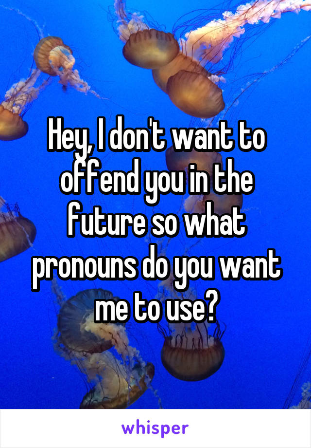 Hey, I don't want to offend you in the future so what pronouns do you want me to use?