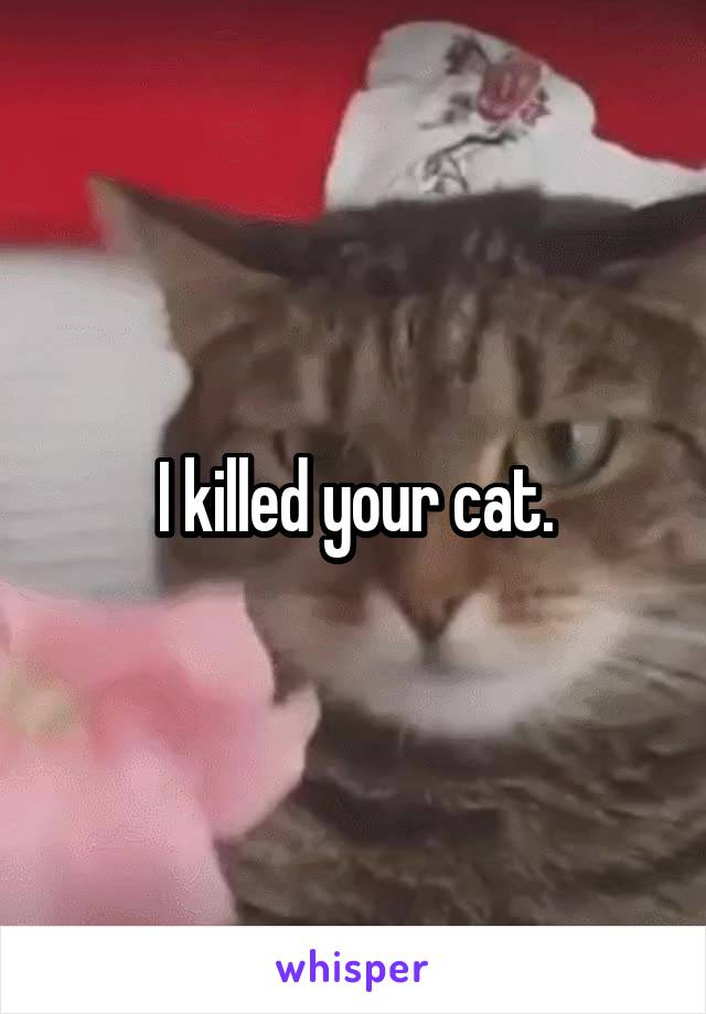 I killed your cat.