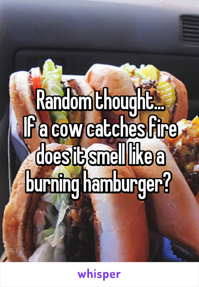 Random thought...
If a cow catches fire does it smell like a burning hamburger? 