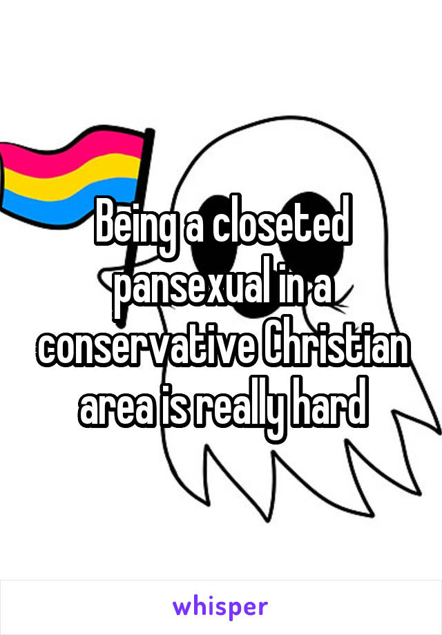 Being a closeted pansexual in a conservative Christian area is really hard