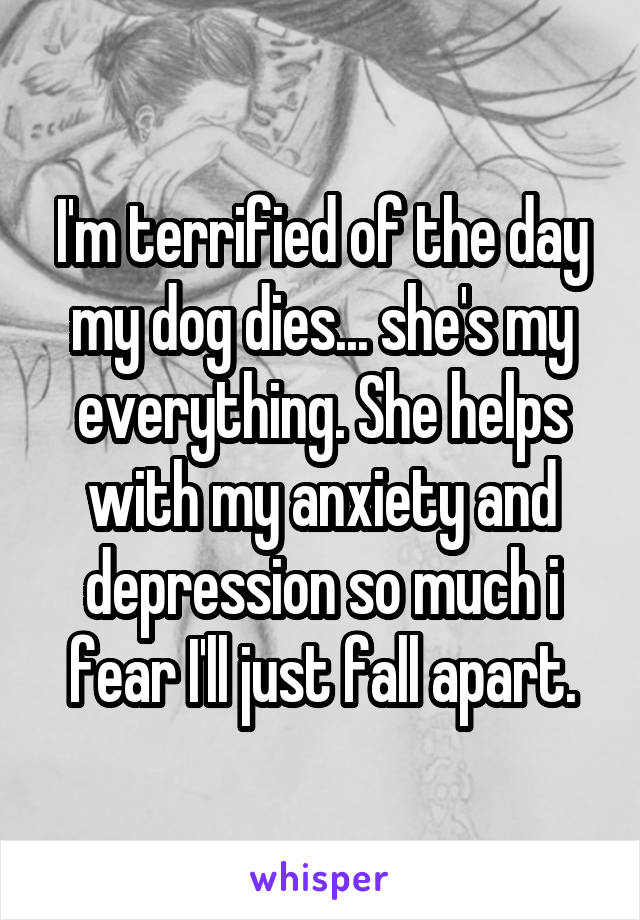 I'm terrified of the day my dog dies... she's my everything. She helps with my anxiety and depression so much i fear I'll just fall apart.