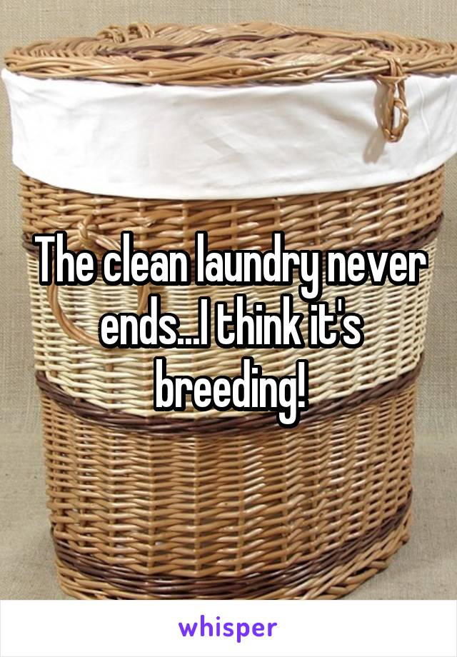 The clean laundry never ends...I think it's breeding!