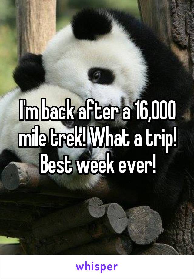 I'm back after a 16,000 mile trek! What a trip! Best week ever!