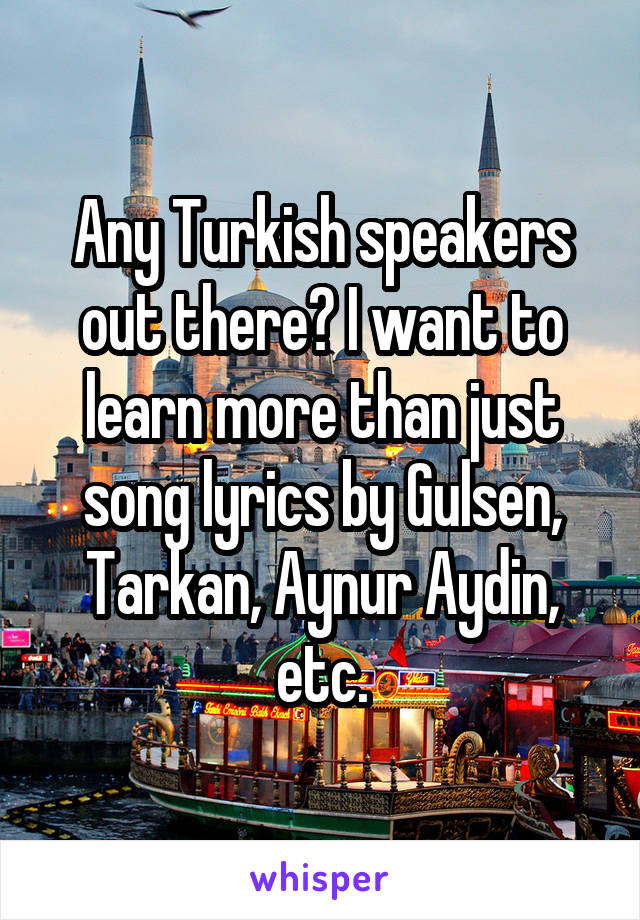 Any Turkish speakers out there? I want to learn more than just song lyrics by Gulsen, Tarkan, Aynur Aydin, etc.