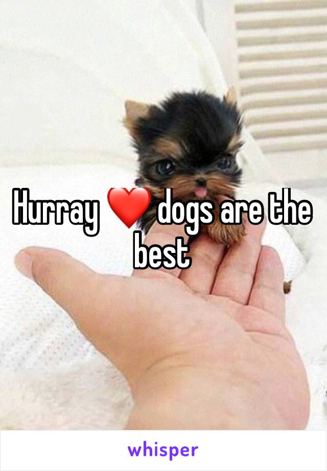 Hurray ❤ dogs are the best