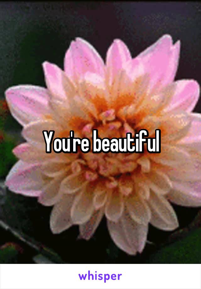 You're beautiful