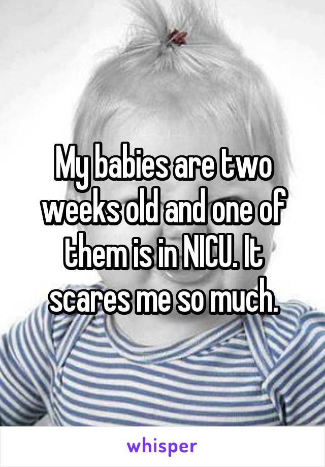 My babies are two weeks old and one of them is in NICU. It scares me so much.