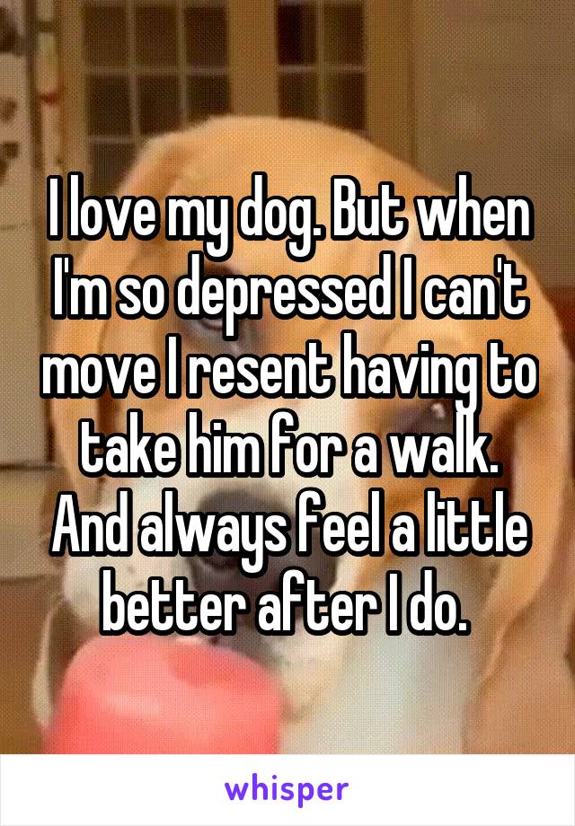 I love my dog. But when I'm so depressed I can't move I resent having to take him for a walk. And always feel a little better after I do. 