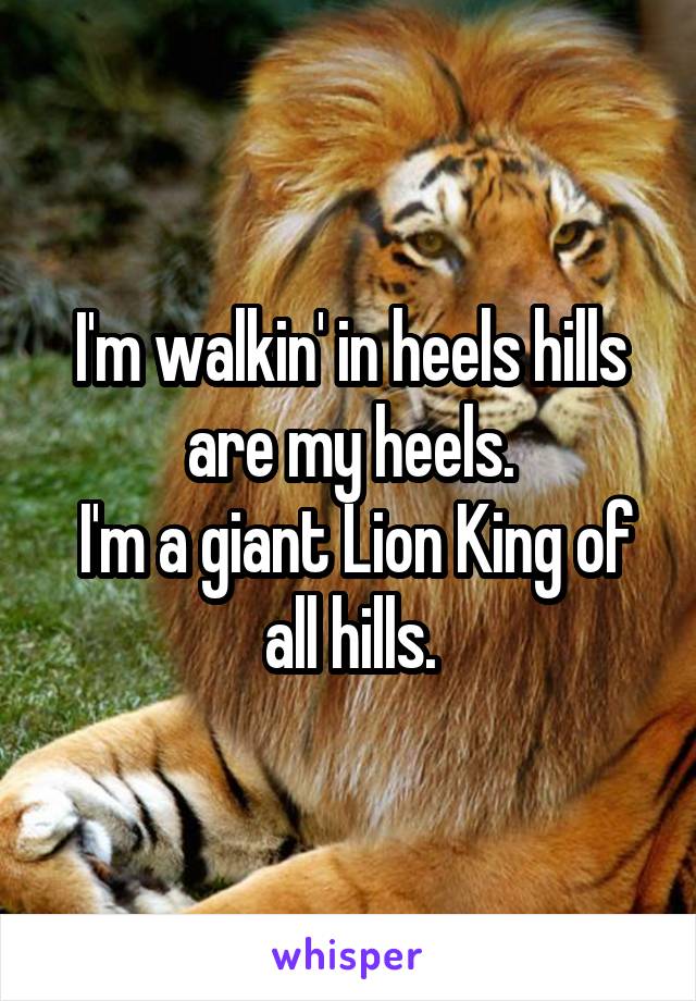 I'm walkin' in heels hills are my heels.
 I'm a giant Lion King of all hills.