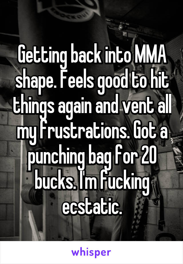 Getting back into MMA shape. Feels good to hit things again and vent all my frustrations. Got a punching bag for 20 bucks. I'm fucking ecstatic.