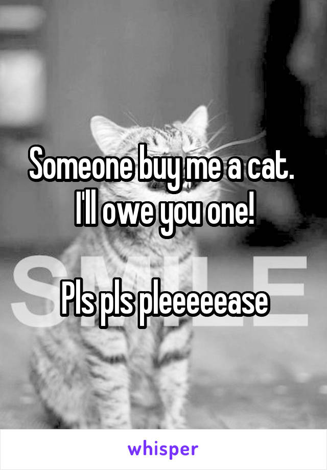 Someone buy me a cat. 
I'll owe you one!

Pls pls pleeeeease