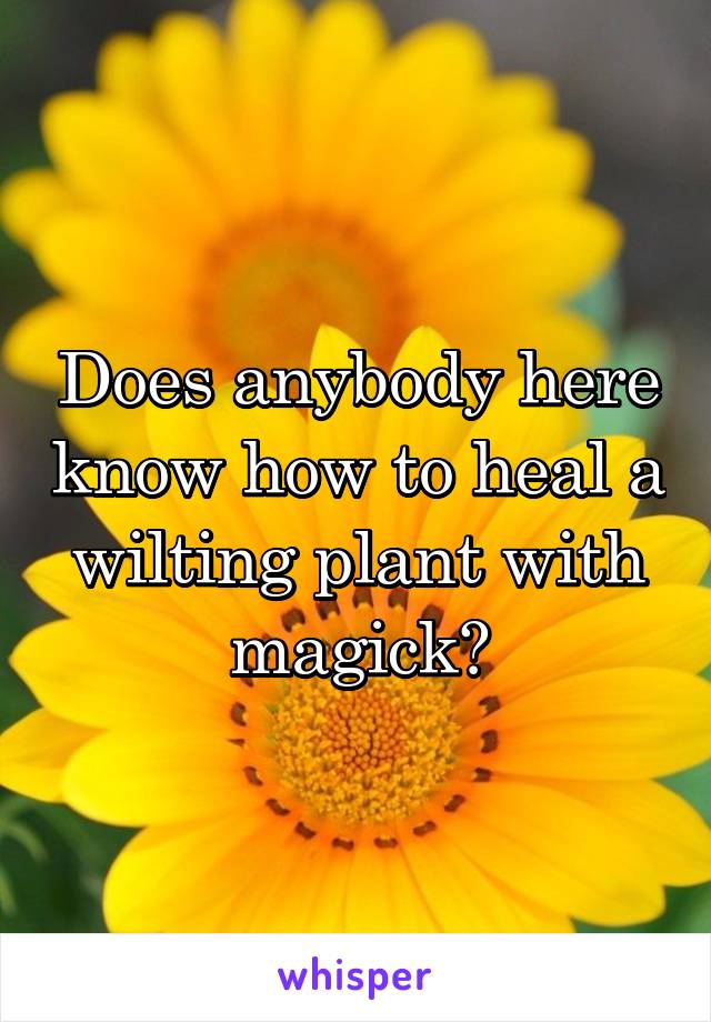 Does anybody here know how to heal a wilting plant with magick?