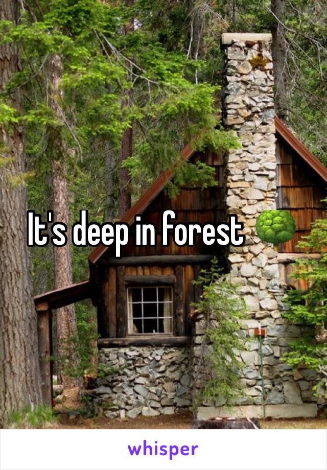 It's deep in forest 🌳 