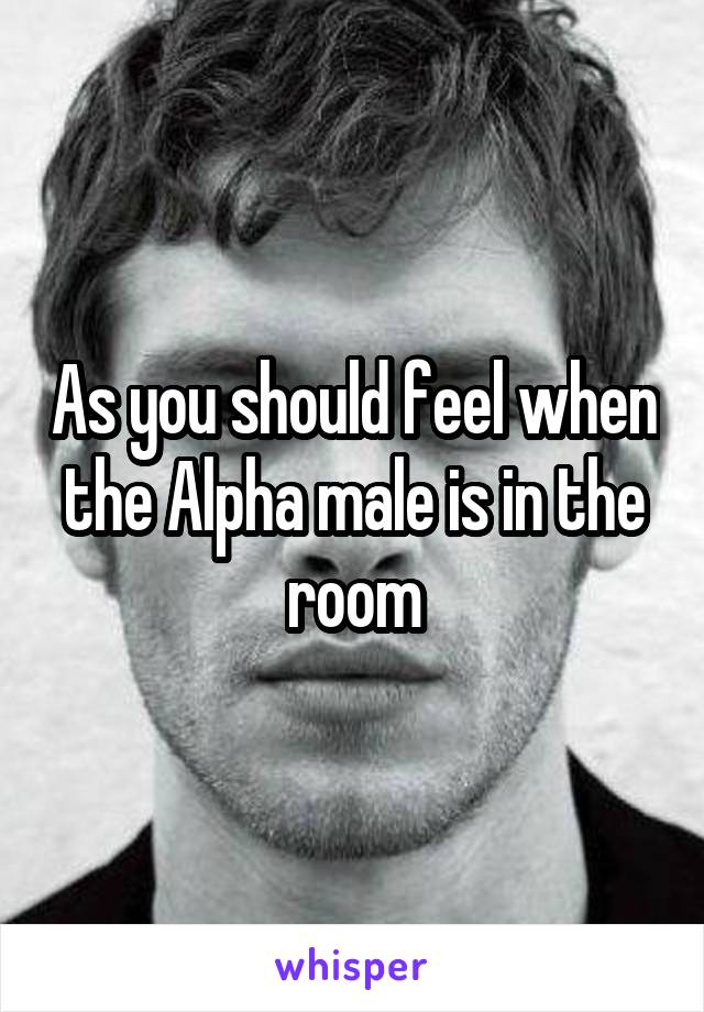 As you should feel when the Alpha male is in the room