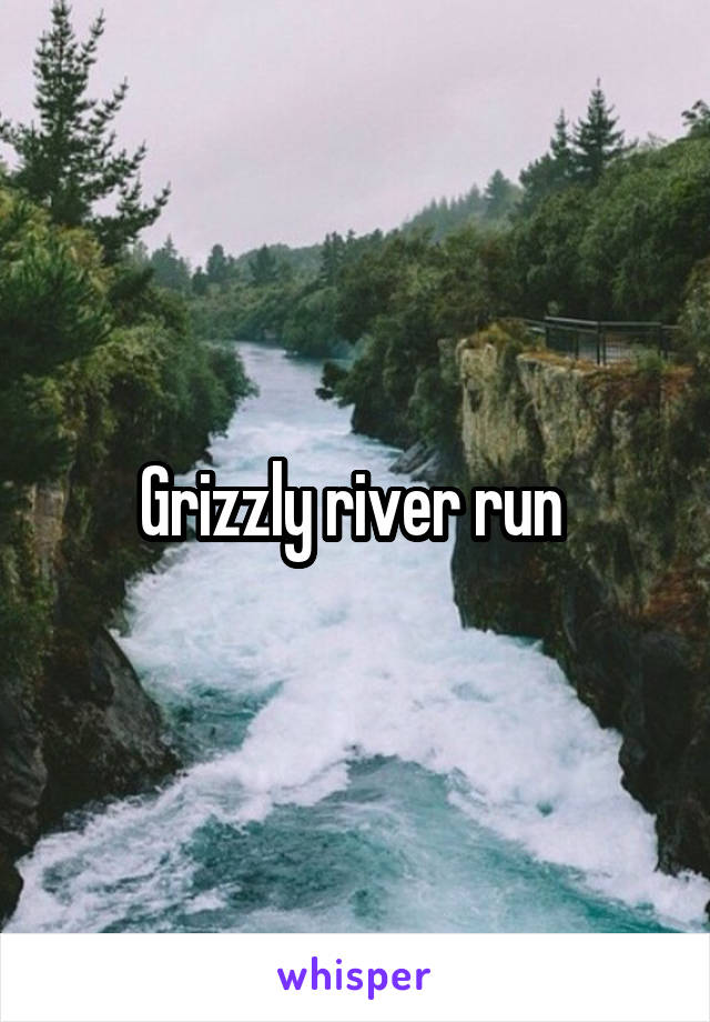 Grizzly river run 