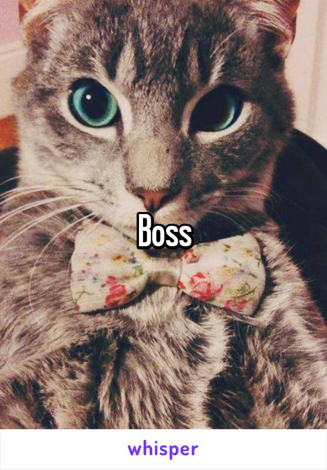 Boss