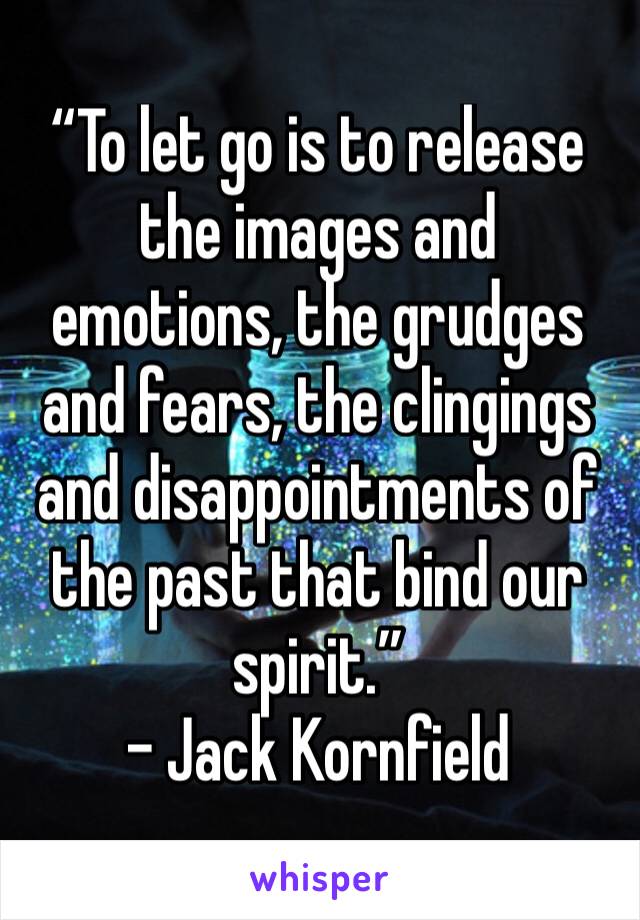 “To let go is to release the images and emotions, the grudges and fears, the clingings and disappointments of the past that bind our spirit.”
– Jack Kornfield