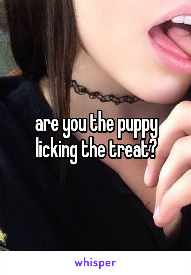 are you the puppy licking the treat?