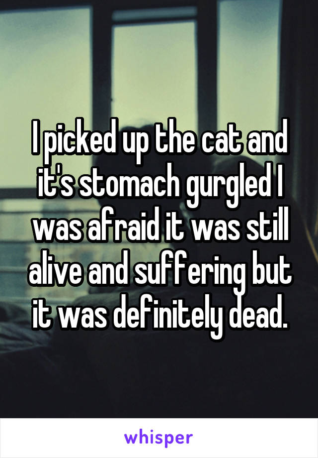 I picked up the cat and it's stomach gurgled I was afraid it was still alive and suffering but it was definitely dead.