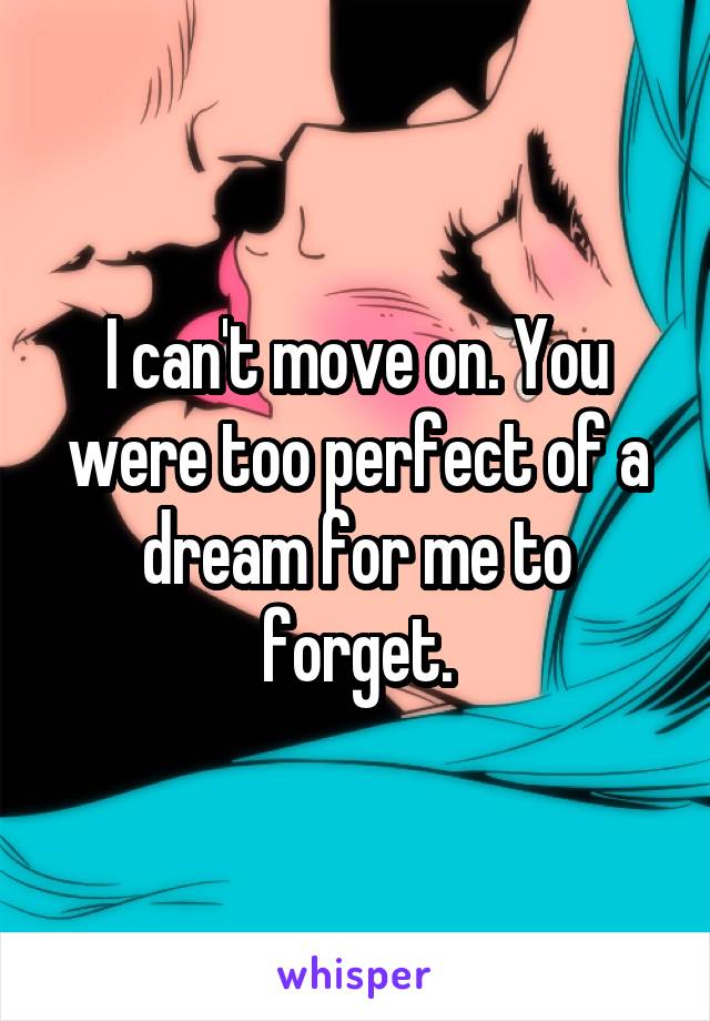 I can't move on. You were too perfect of a dream for me to forget.