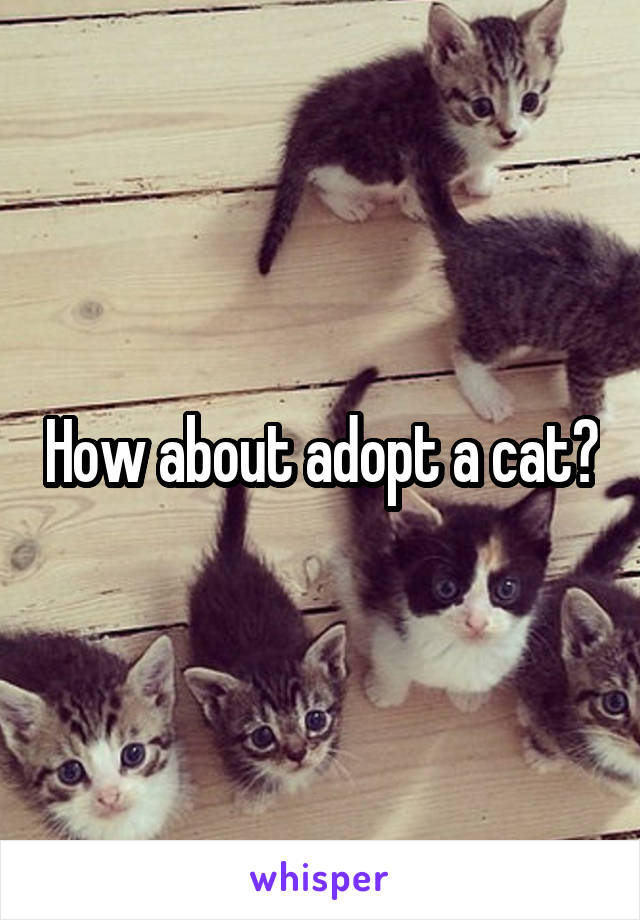 How about adopt a cat?