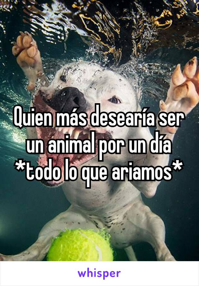 Quien más desearía ser un animal por un día *todo lo que ariamos*