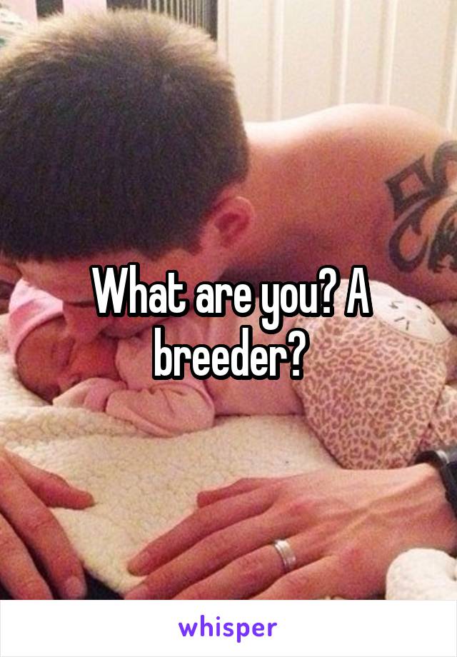 What are you? A breeder?