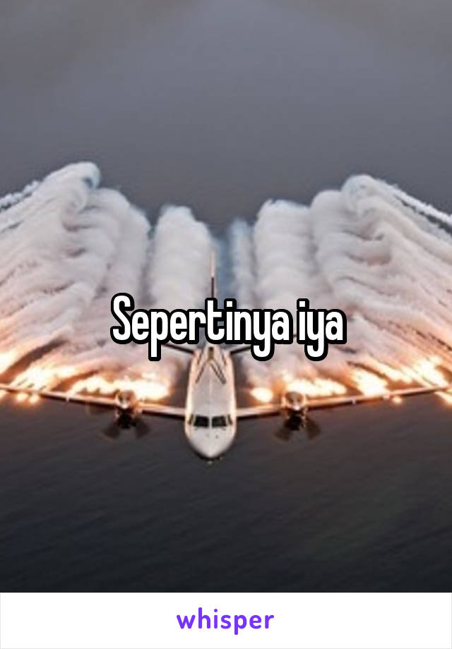 Sepertinya iya