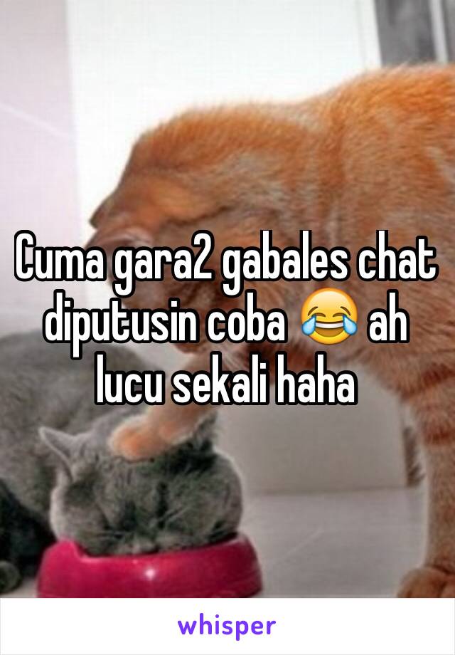 Cuma gara2 gabales chat diputusin coba 😂 ah lucu sekali haha