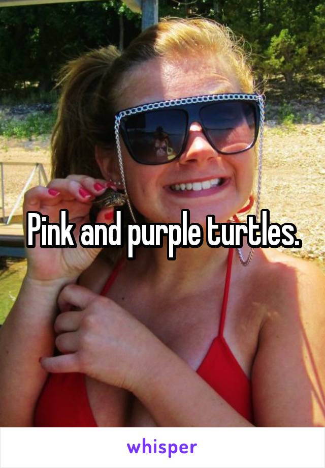 Pink and purple turtles.