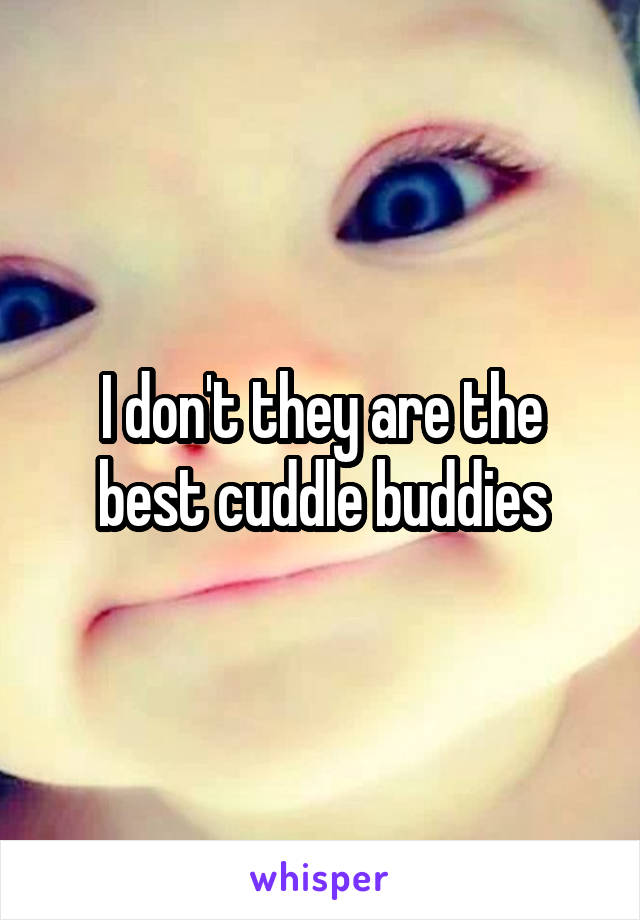 I don't they are the best cuddle buddies