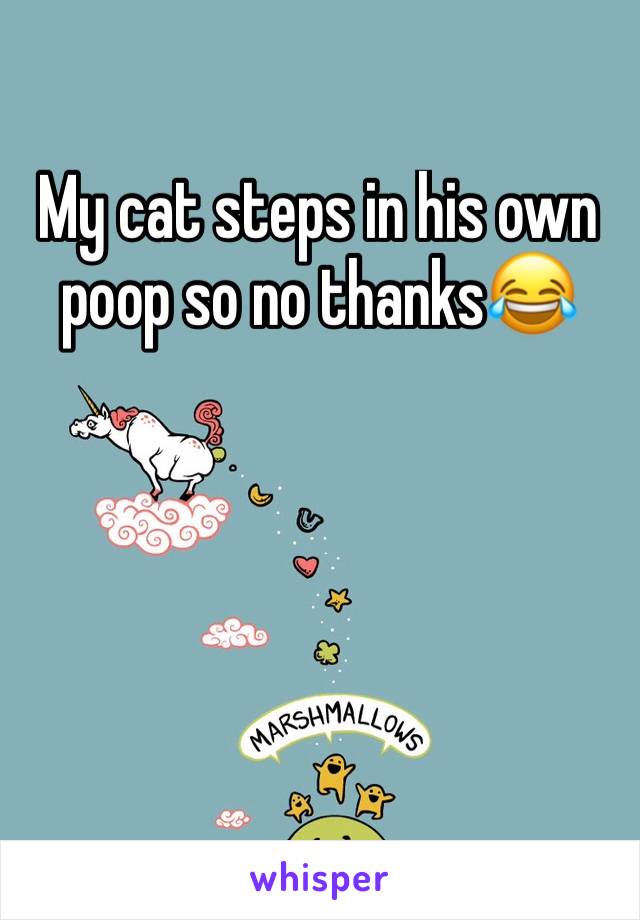 My cat steps in his own poop so no thanks😂