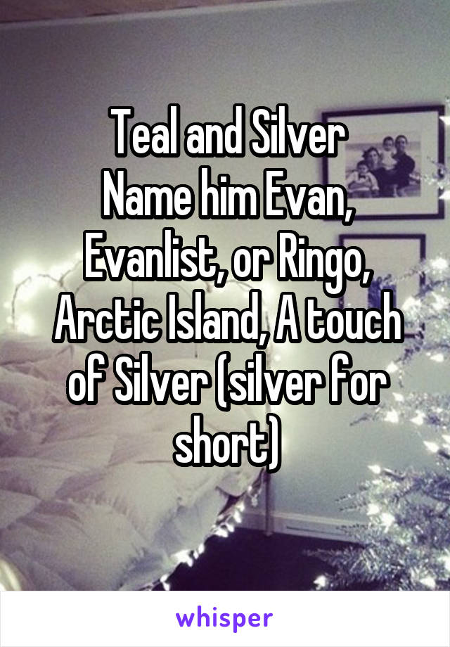 Teal and Silver
Name him Evan, Evanlist, or Ringo, Arctic Island, A touch of Silver (silver for short)
