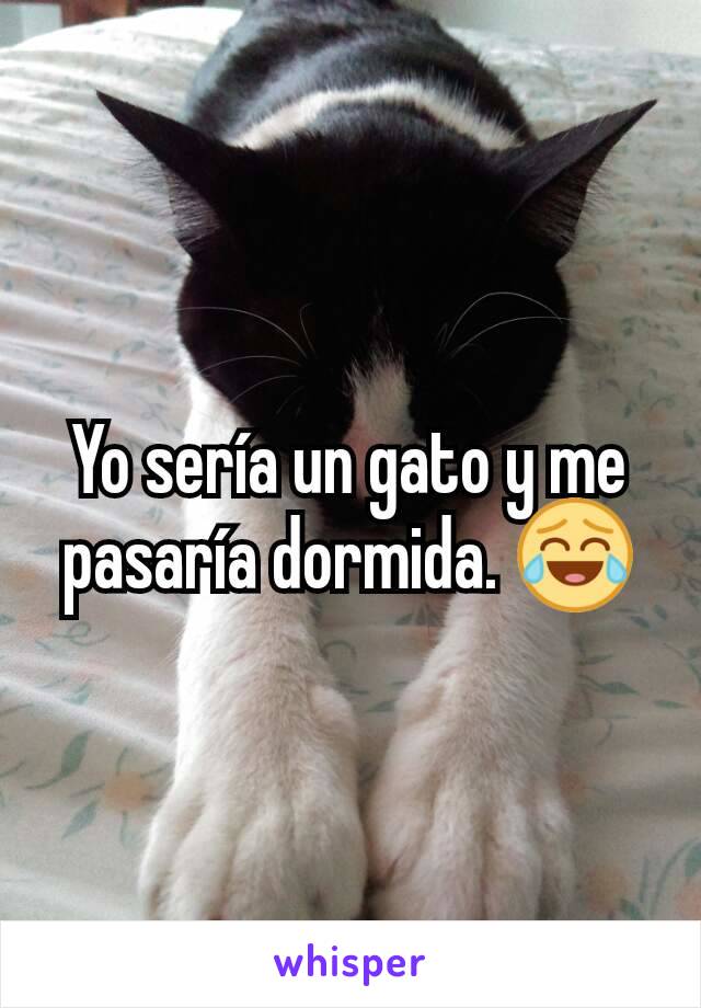 Yo sería un gato y me pasaría dormida. 😂