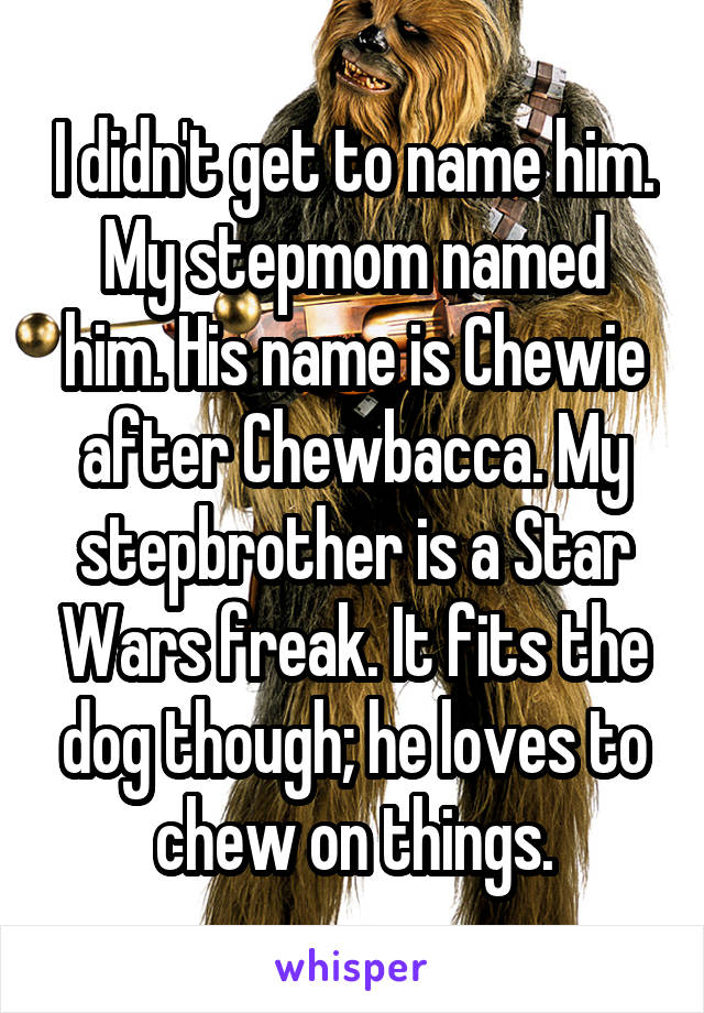 I didn't get to name him. My stepmom named him. His name is Chewie after Chewbacca. My stepbrother is a Star Wars freak. It fits the dog though; he loves to chew on things.