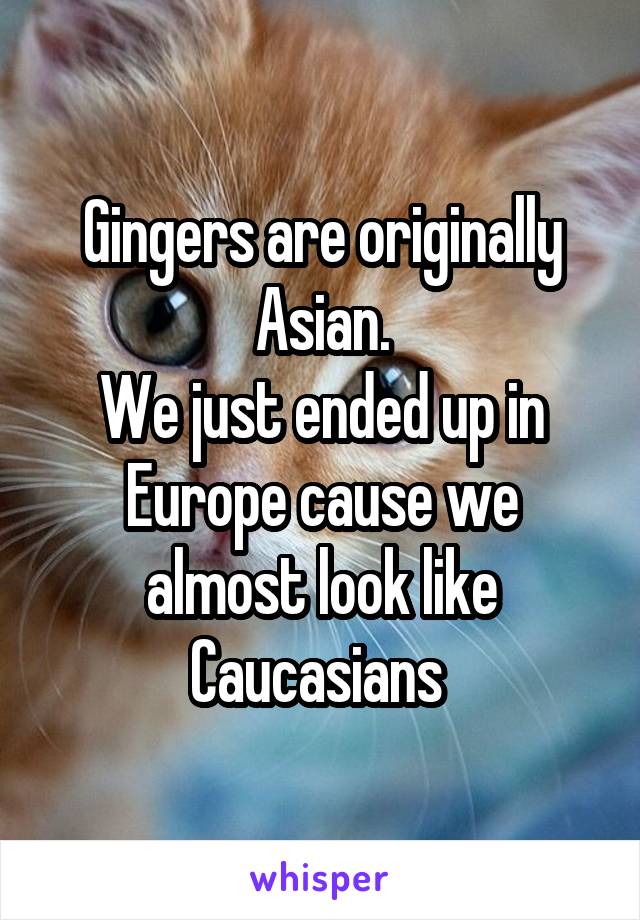 Gingers are originally Asian.
We just ended up in Europe cause we almost look like Caucasians 